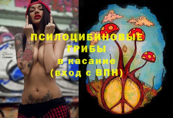 мяу мяу мука Сатка
