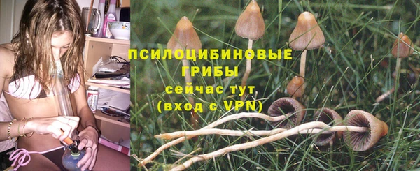 mdpv Саяногорск